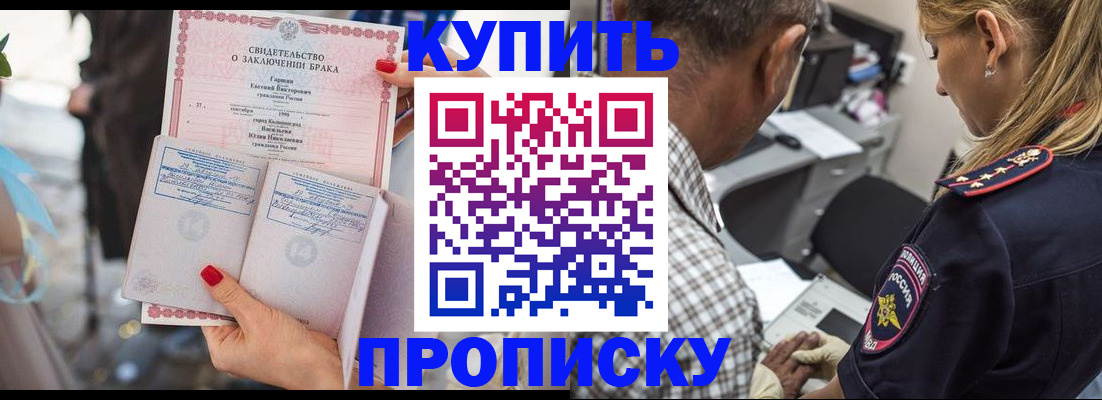 прописка законно в Дрезне